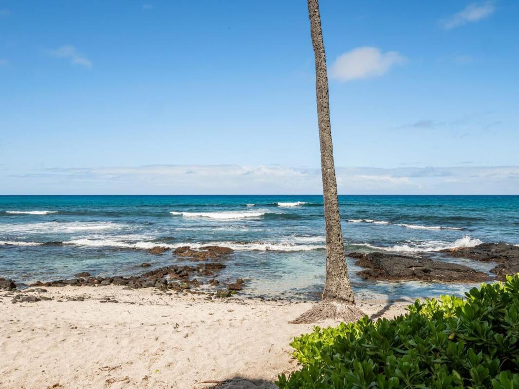 Oceanfront 1 Bedroom 2 Bathroom With Large Lanai - Kona Bali Kai 218 Kailua-Kona Dış mekan fotoğraf