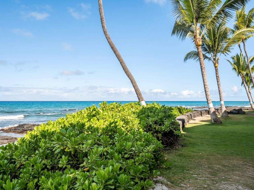 Oceanfront 1 Bedroom 2 Bathroom With Large Lanai - Kona Bali Kai 218 Kailua-Kona Dış mekan fotoğraf
