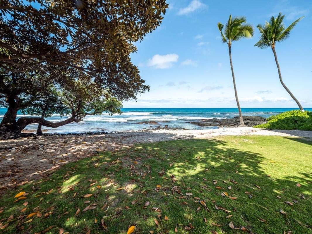 Oceanfront 1 Bedroom 2 Bathroom With Large Lanai - Kona Bali Kai 218 Kailua-Kona Dış mekan fotoğraf